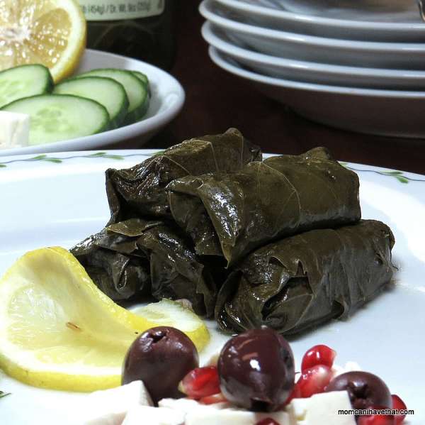 stuffed grape leaves