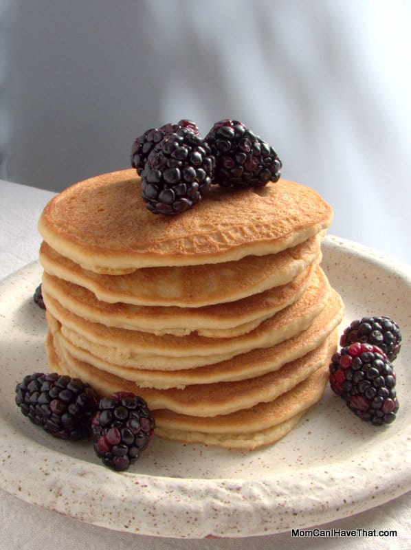 Low Carb, Big Batch Pancakes | a quick breakfast treat | LC GF DF Paleo | http://lowcarbmaven.com