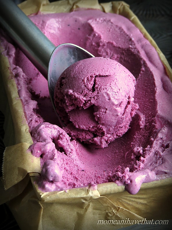 Blueberry Buttermilk Ice Cream tastes just like blueberry pie but with out the crust! | Low Carb, Gluten-free, keto, sugar-free | lowcarbmaven.com