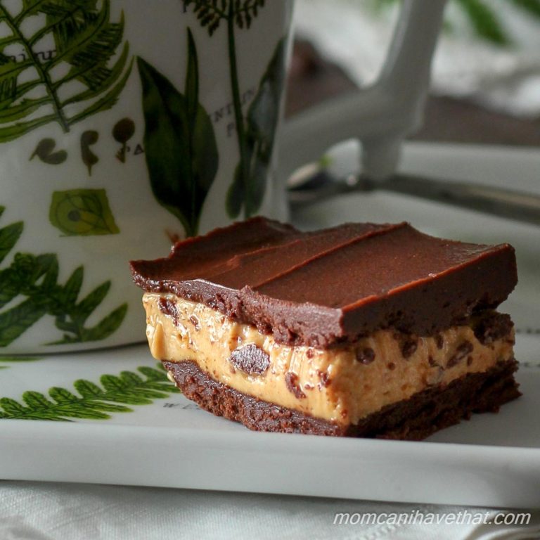 Low carb keto fat bomb layered dessert of chocolate and peanut butter on a white porcelain plate with green botanical ferns and matching coffee cup.