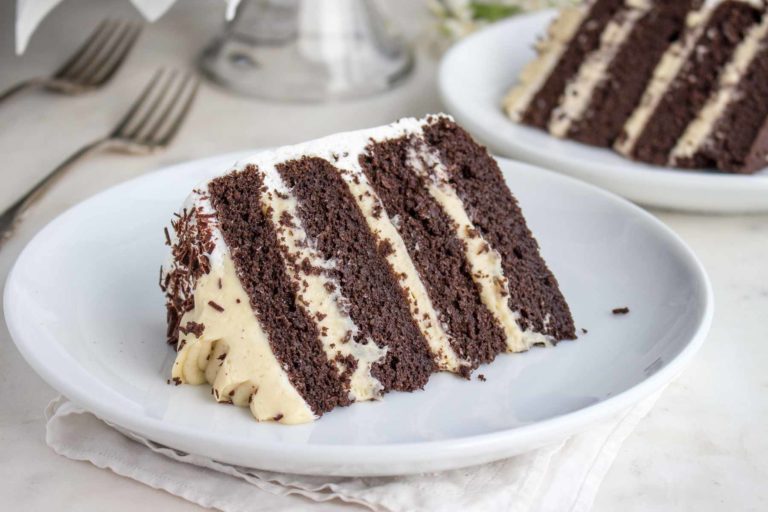 A slice of chocolate layer cake with vanilla pudding filling on a plate.