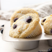 Coconut flour keto blueberry muffins are great low carb muffins.